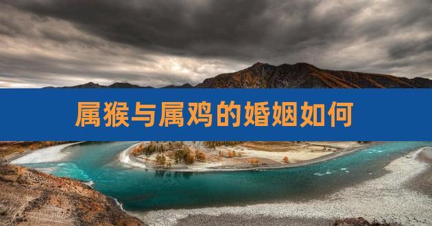 属猴和属鸡姻缘怎么样