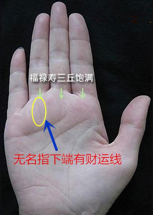 什么手相会中大奖