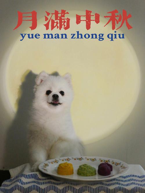 中秋节出生的生肖狗什么命,中秋节出生命理怎么样