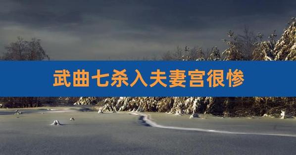 武曲落在夫妻宫