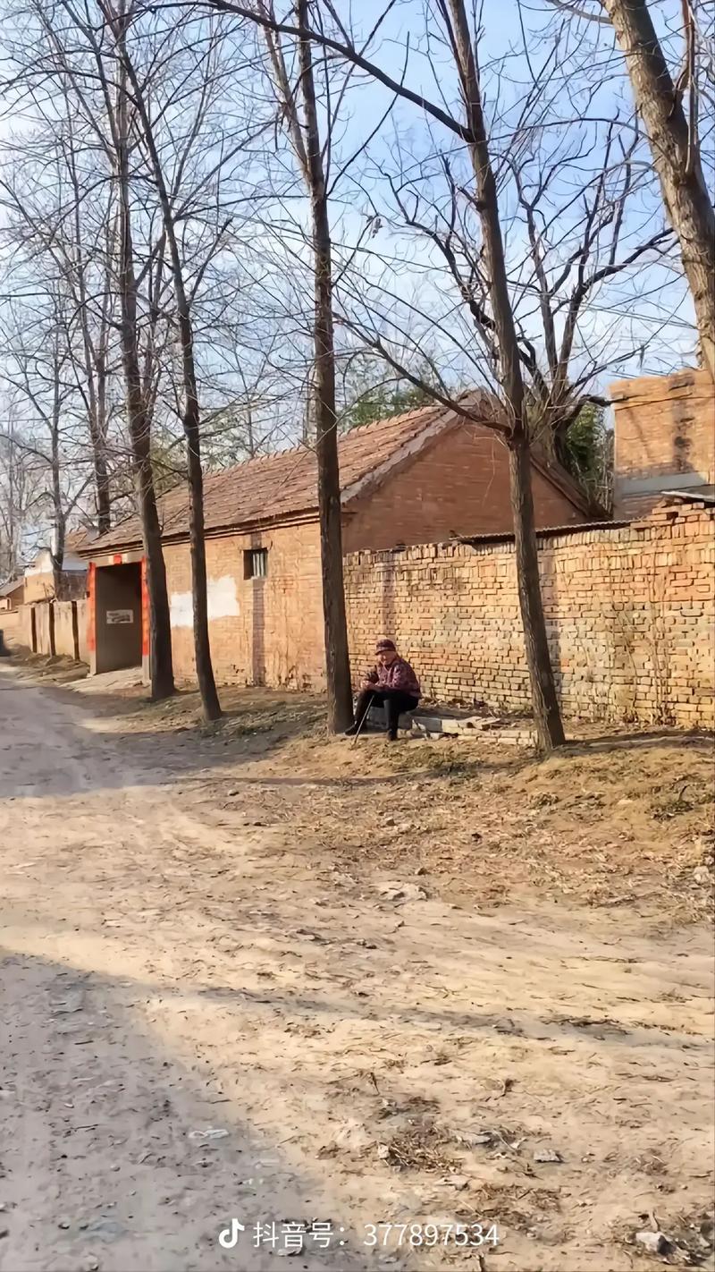 属羊最想回到人生中的哪一个瞬间
