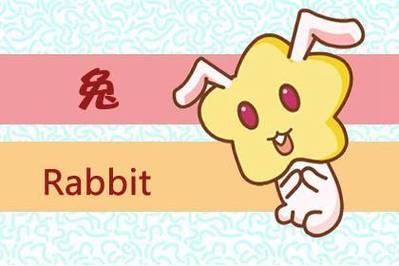 两个属兔的人适合做夫妻吗?属兔几月出生最好命运?