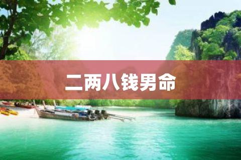 二钱八两是什么命