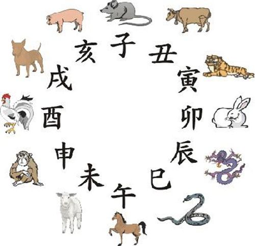 属鼠下半年运势卜易居