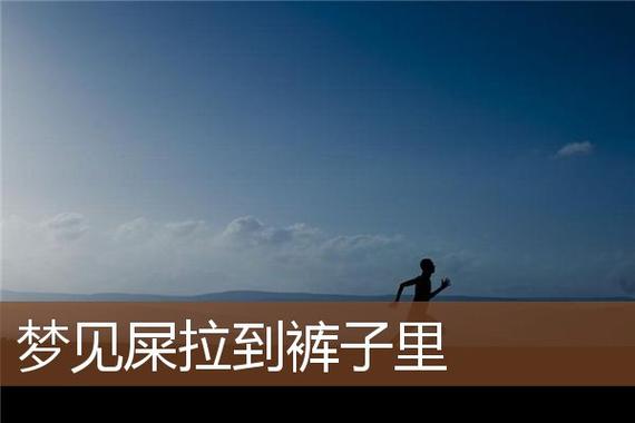 做梦拉屎拉到裤子里