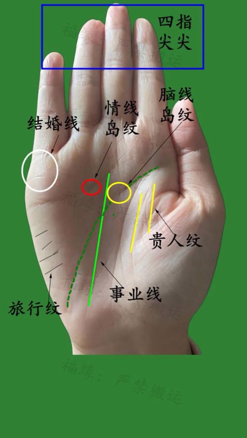 手相贵人线和人缘线