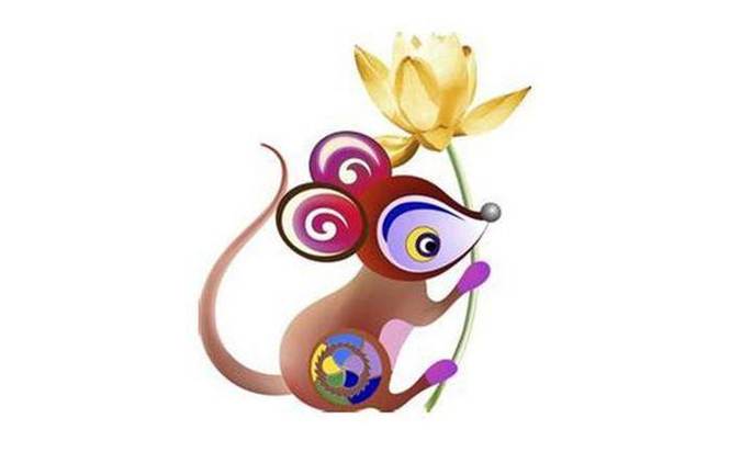 属鼠的今年忌讳什么