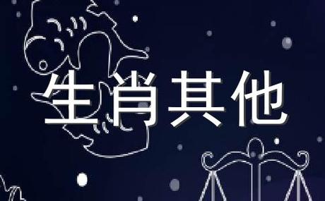 天生爱当铲屎官的生肖