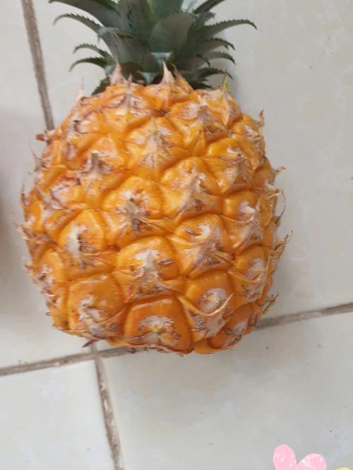 梦见三个大菠萝