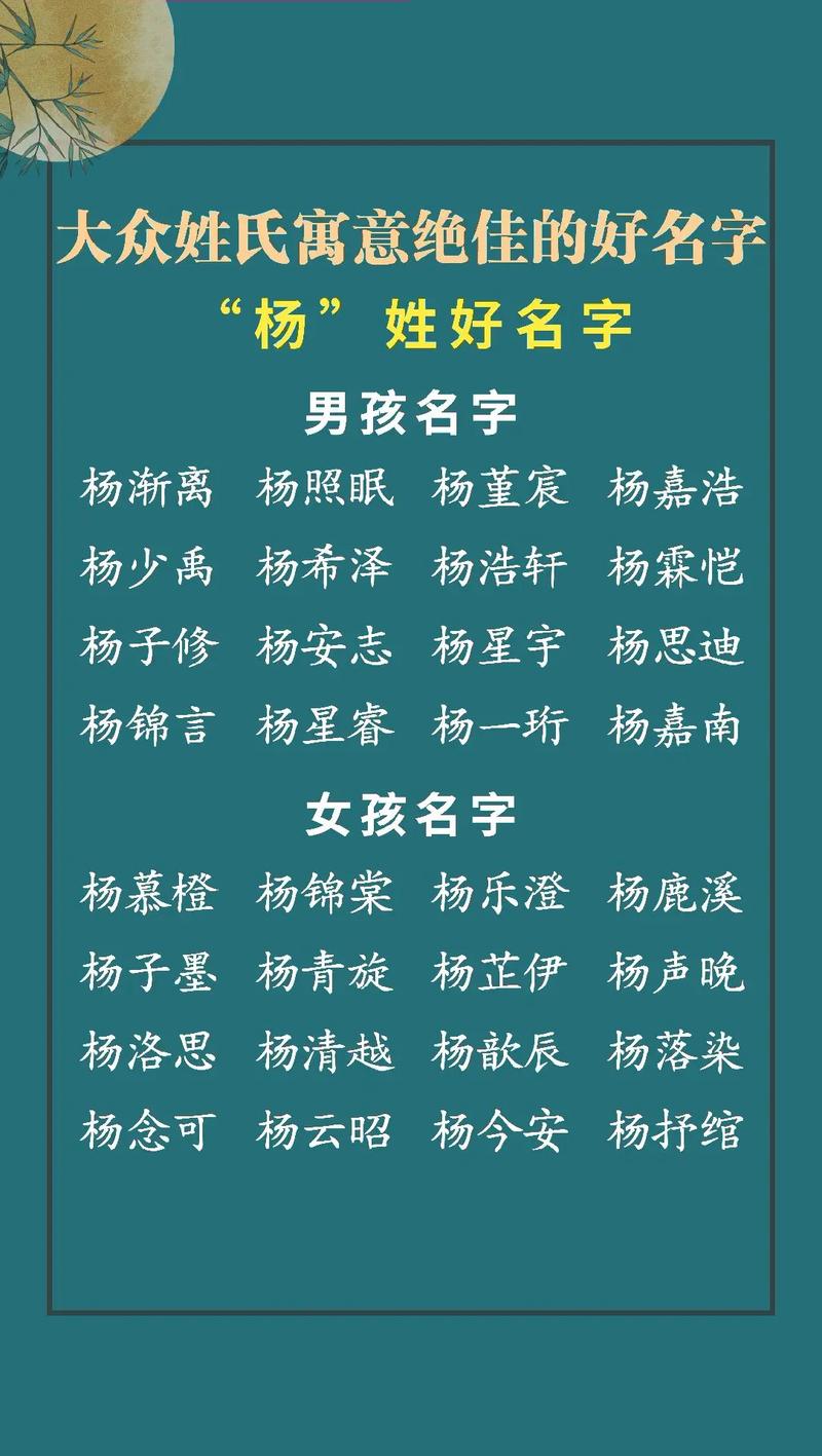姓杨的男孩取名