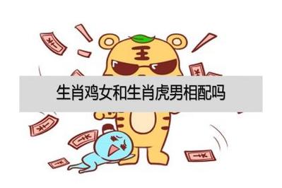 女虎和男鸡属相合不合