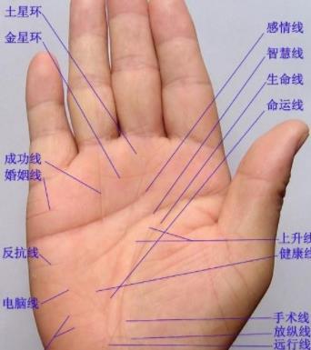 手相图解大全 男人手掌厚有肉好不好