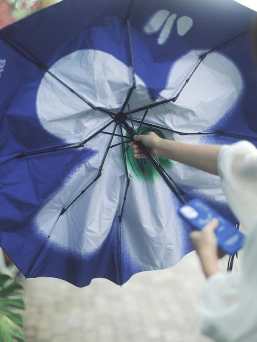 梦见下雨天买伞是什么意思