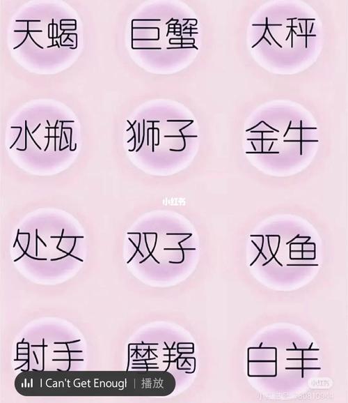 双子座放不下这三个星座,奋不顾身,换来的却是一场糟糕的爱