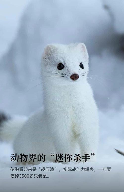 带水有大将风范男孩名字