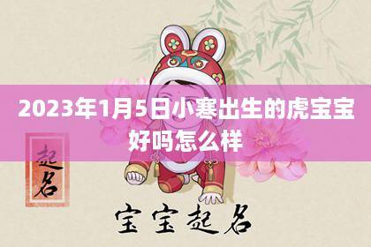 属虎2023年生娃