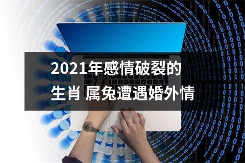属兔2021会有婚外情吗