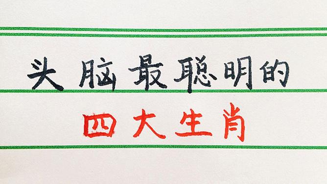 头脑最聪明的4大生肖