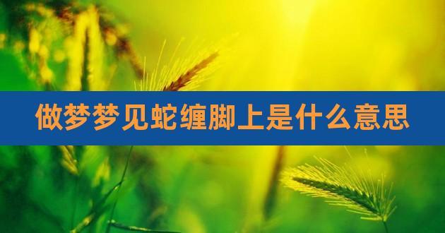 梦见遍地是蛇没法下脚是啥意思