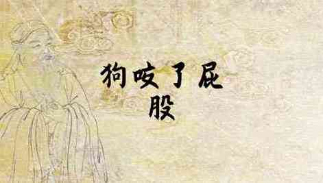 梦见被狗咬屁股