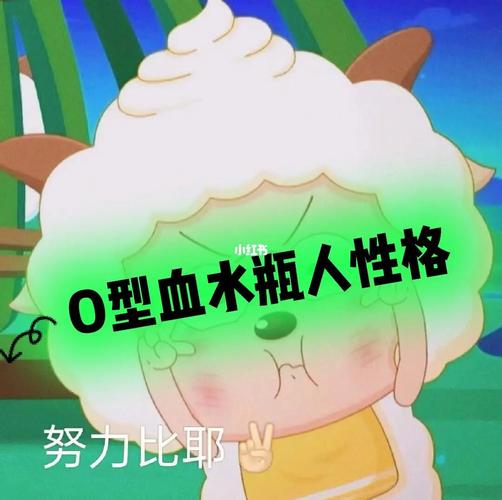 属虎水瓶座O型男生的性格