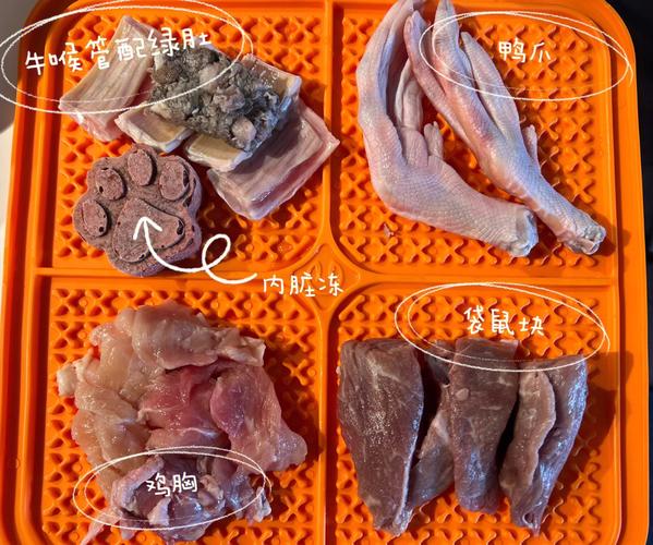 周公解梦大全 梦见袋鼠梦见杀袋鼠