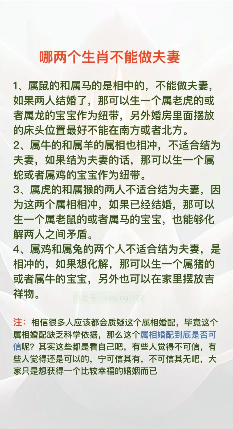 八字合婚只看属相吗