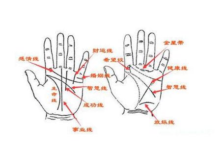 手相怎样看财运你知道吗?