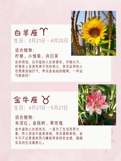 十二星座由哪个星座守护
