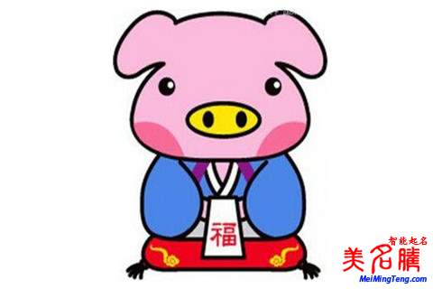 2019猪年何姓女宝宝起名
