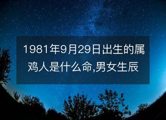 1981年是什么命 命运好不好