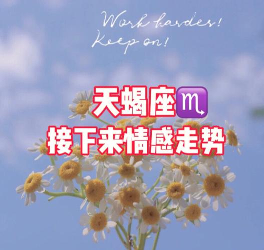天蝎座最想和伴侣一起做的事