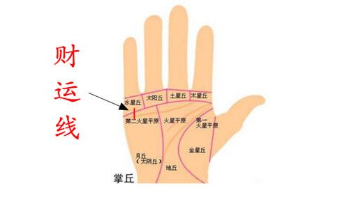 手相怎么看一个人的财运