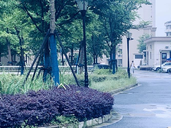 梦见下雨被淋湿头发是什么意思