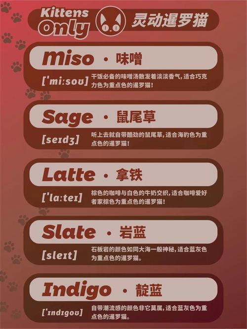 洋气点的宠物名字英文名潮流先锋
