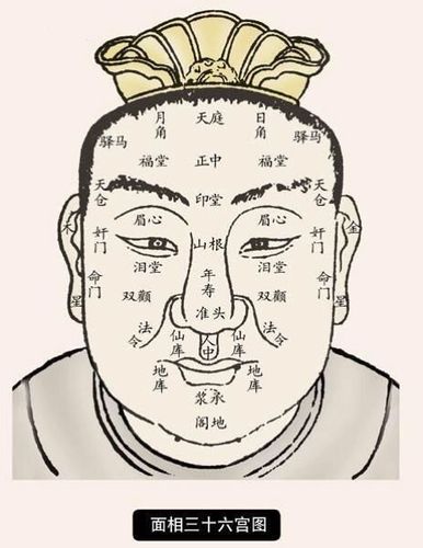 面相学,面相学