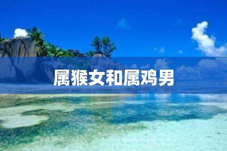 属猴男生和属鸡女生配对