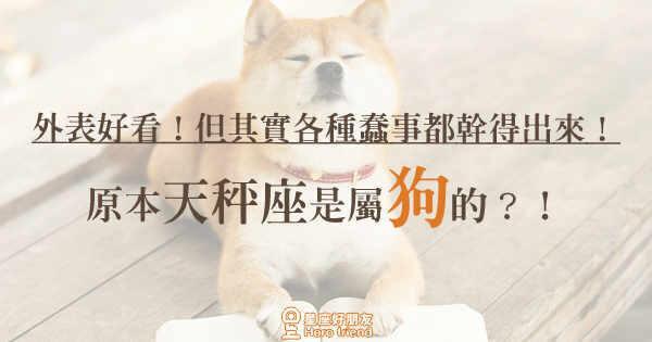 属狗经常会做哪些蠢事