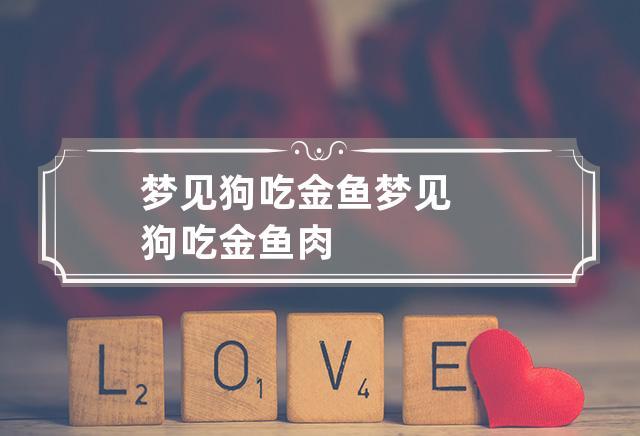 梦见狗吃金鱼 梦见狗吃金鱼肉