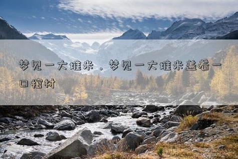 梦见很多米