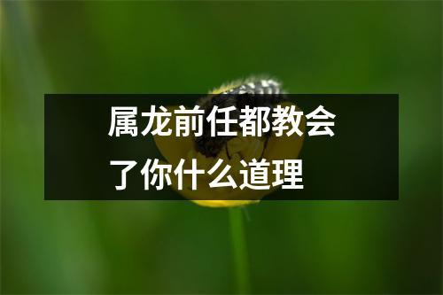 失败的爱情教会了属龙哪些道理