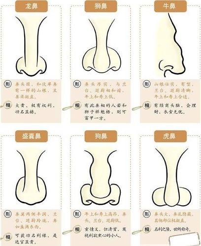 悬胆鼻指的是什么