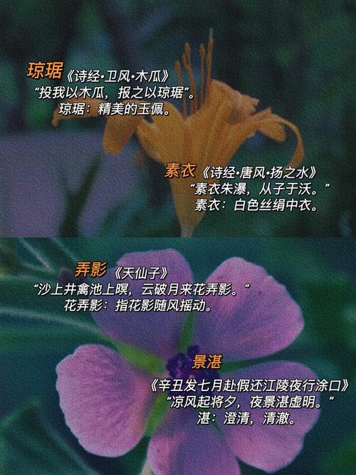 马宇开头的名字有那些