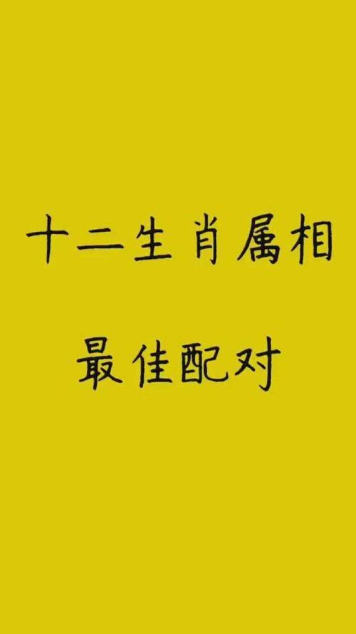 十二生肖的最佳配偶