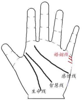 三条婚姻线的男人