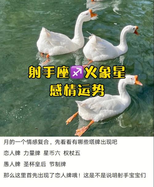 射手座一生不愁赚不到钱