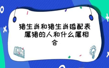 1983年属猪的生肖婚配