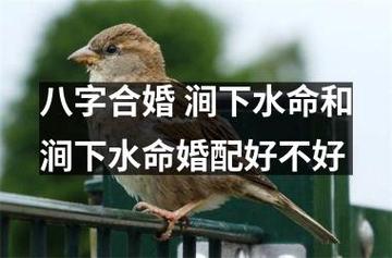 涧下水和涧下水的婚姻