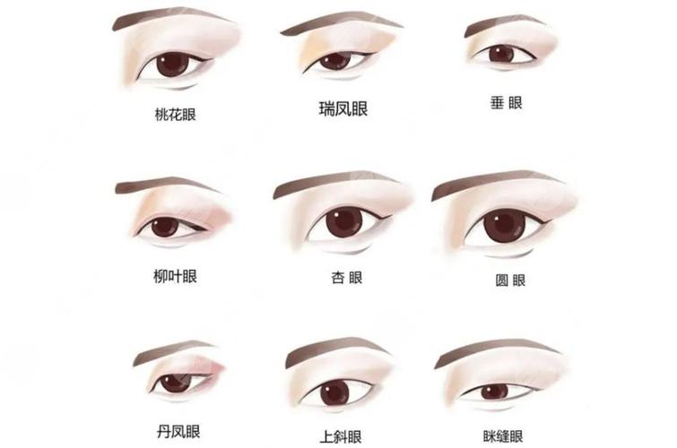丹凤眼的眼型如何