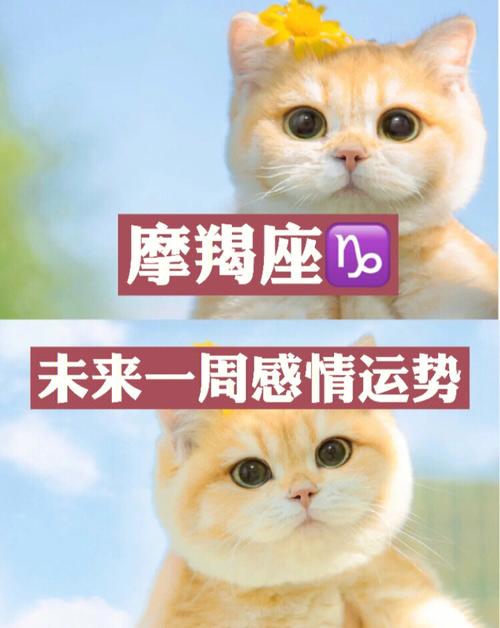 摩羯座2020年爱情宿命怎么样